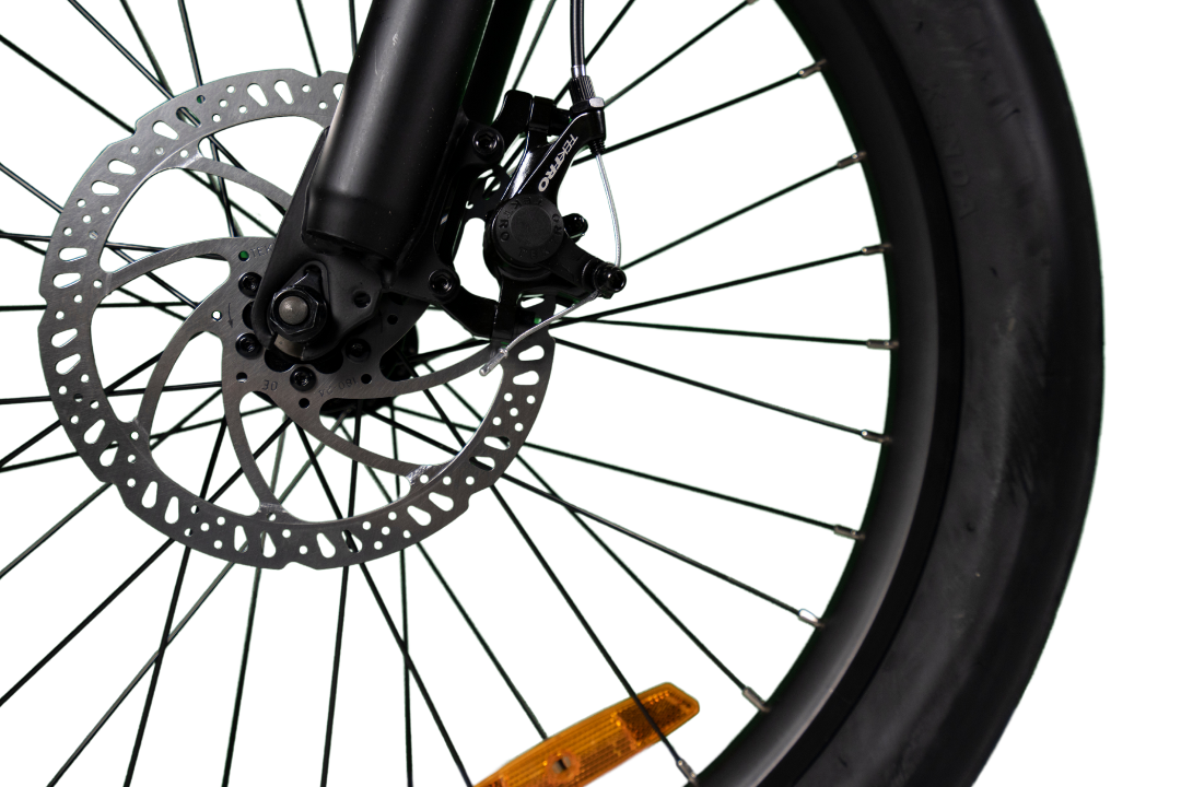 E-MONOJUNO – 24″